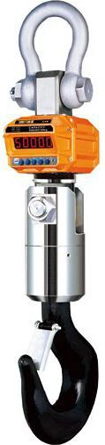 Весы крановые Cas 15 THD TWN