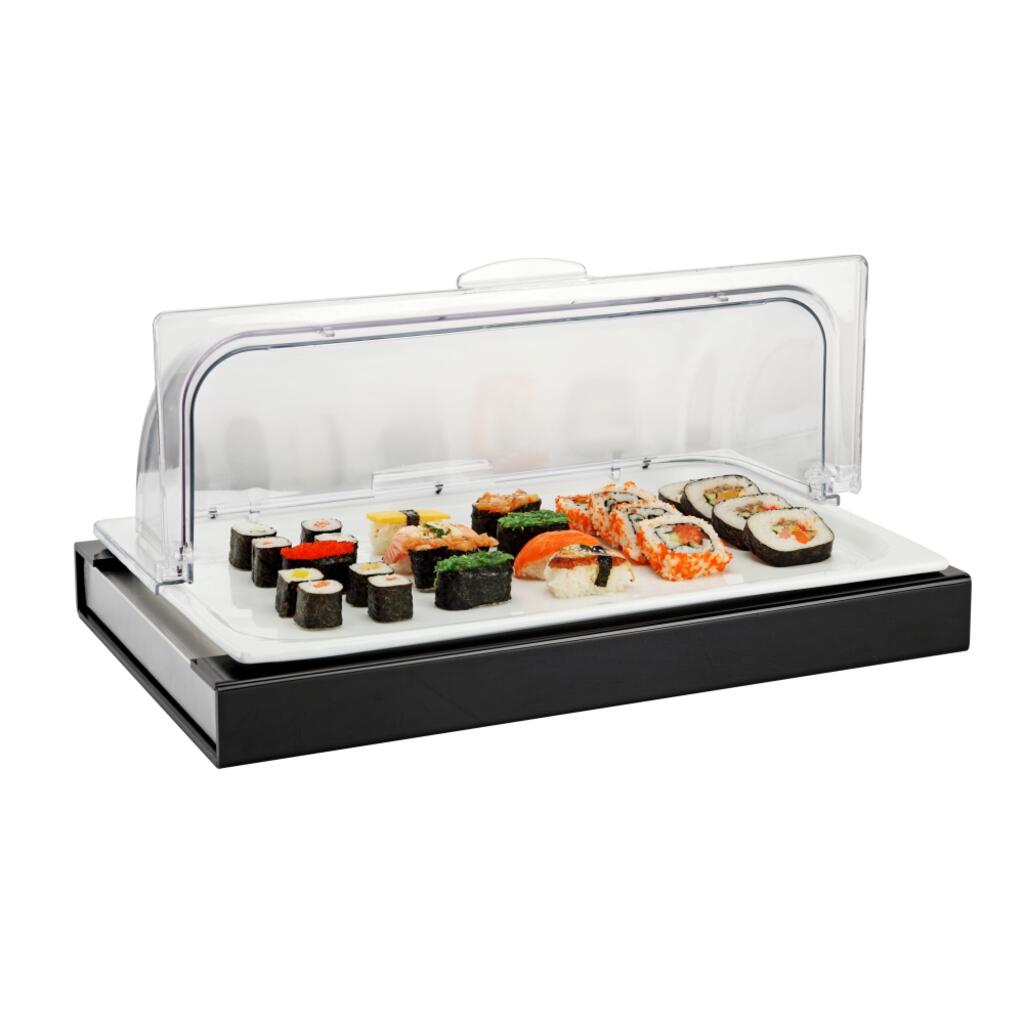 Поднос для выкладки Sunnex 53*32,5*24,5 см фарфор с пласт. крышкой + бокс с хладагентом